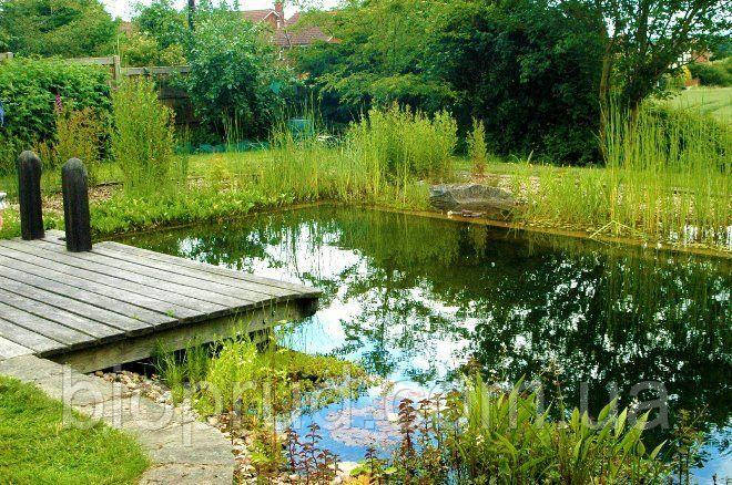 Садові ставки