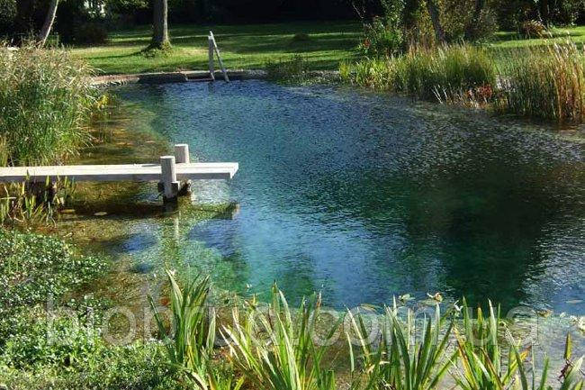 Біопругід на ділянці.