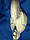 Пенопластова заготівля Півник , "Півень", 18*9*12.5 см . Santi (Великобританія ), фото 3