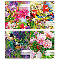 Зошит 36 аркушів у клітинку "Птахи" 20/240