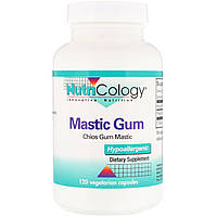 Смола мастикового дерева, Nutricology, Mastic Gum, 120 капсул