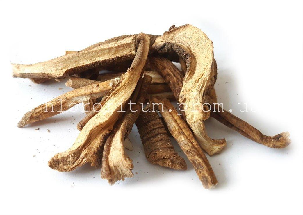 Тирлич жовтий корінь( Gentiana lutea l.) Горечавка жовта