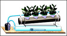 Вирощування на гідропоніці. Приготування поживного розчину.