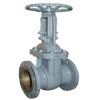 Засувки сталеві