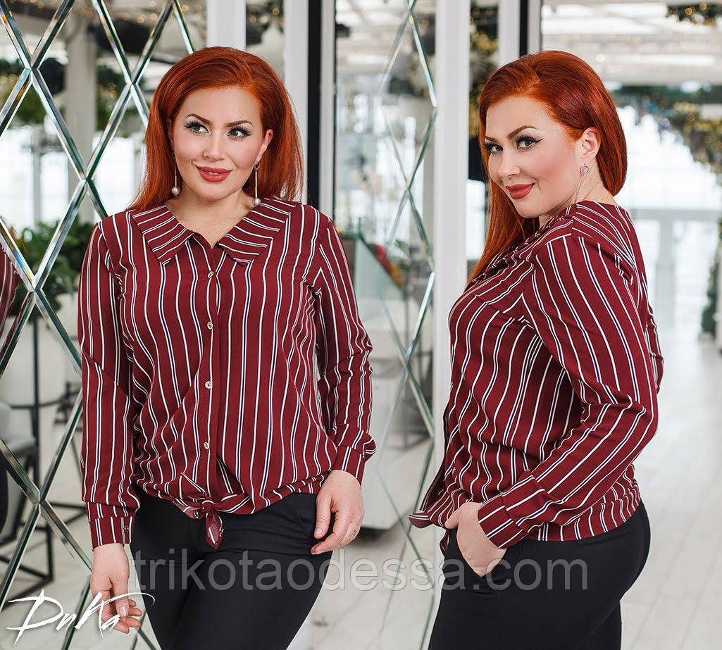 Блуза жіноча 0364дг батал
