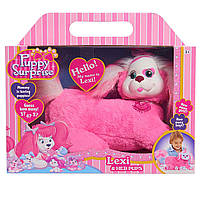 Puppy surprise stacy online