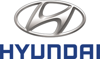 Решітки, накладки бампера Hyundai