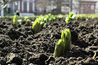 Новый сезон не за горами! Навесное оборудование для начала сезонных работ