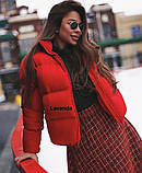 Жіноча модна стьобана курточка синтепон 200 (оригінал), фото 6