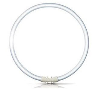 Лампа Philips MASTER TL5 Circular 40W/830 1CT/10