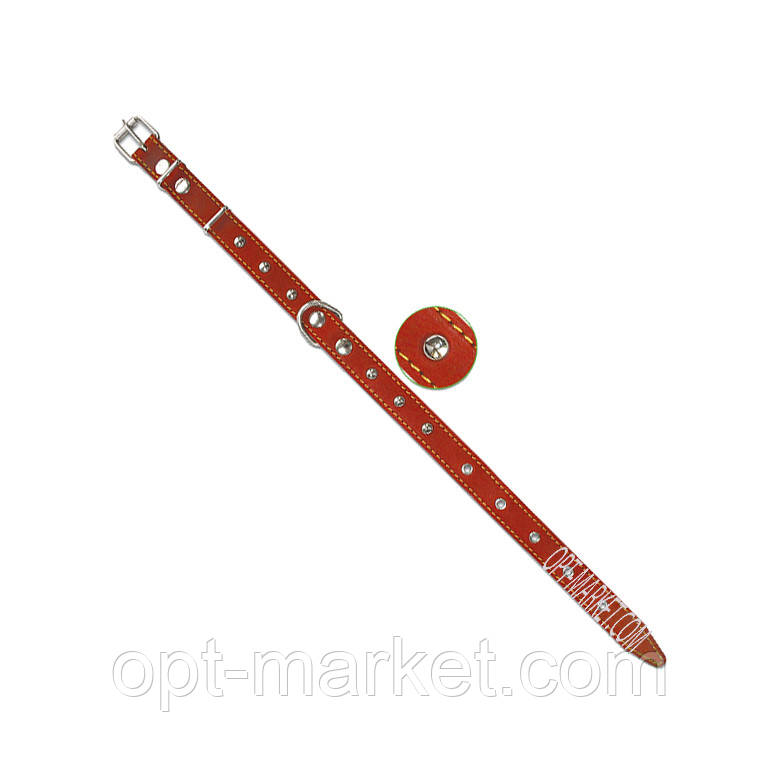 Нашийник 20 мм прикрашений, фото 1