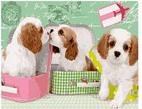 Картина по номерам Милые щеночки в чемоданах (BK-GX25358) 40 х 50 см (Без коробки)