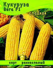 Насіння Кукурудза цукрова Вега F1, 1 кг