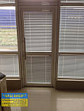 ЖАЛЮЗІ ГОЛОСОНТАЛЬНІ ЦВЕТНІ, фото 7