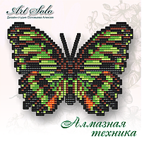 БАТ12. БАБОЧКА-МАГНІТ «МАЛАХІТОВАНА (SIPROETA STELENES)»