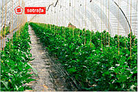 Плівка теплична SOTRAFA TRC с АК+IR+EVA 150 мкм, 16x480 м