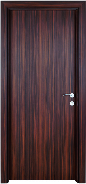 Міжкімнатні двері виробництва AGT «Silyon» (Сіліон), фото 1