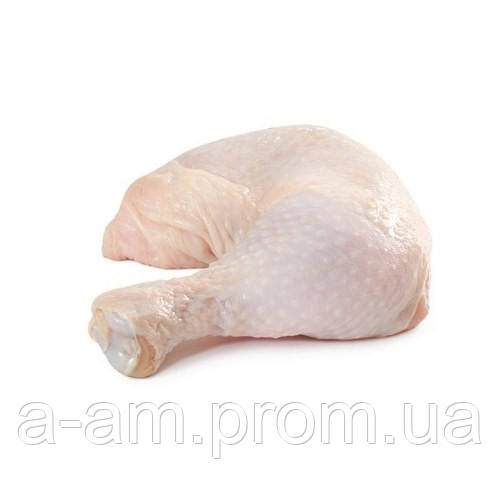 Корок (куріца)