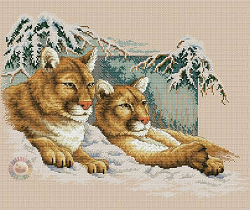 Набір для вишивання хрестиком «Snowy cougars» (сніжні пуми)