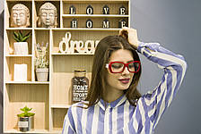 Окуляри для стилю і комп'ютера 6210-1, фото 2