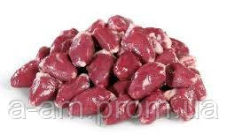 Серце (курка)