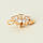 Брошка ХР Gold filled 18k , фото 7