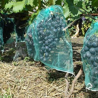 Мешки от ос на виноград зеленые 5 кг, 28*40 см (сетка-мешок для винограда). От ос, мошек и др. насекомых!!!