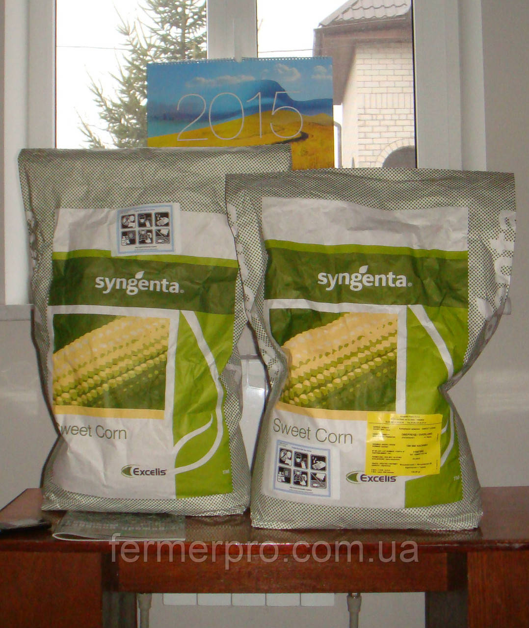 Насіння кукурудзи цукровий спірит F1/ Spirit F1 100 000 насіння Syngenta, фото 1