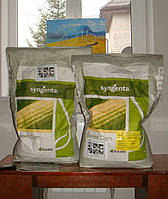 Семена кукурузы сахарной Спирит F1 \ Spirit F1 100 000 семян Syngenta
