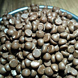 Кондитерська глазур Молочна (дропси) Zeelandia 500 грам, фото 2