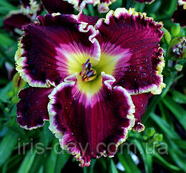 Корисна инфориация