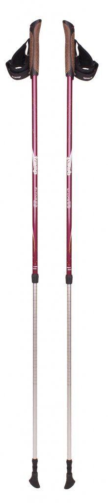 Палиці для скандинавської ходьби Tramp Fitness TRR-011, фото 1