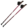 Палиці для скандинавської ходьби Tramp Fitness TRR-011, фото 2