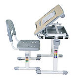 Комплект FunDesk Парта та стілець-трансформери Bambino Grey, фото 5