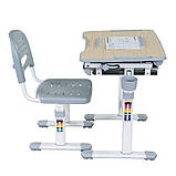 Комплект FunDesk Парта та стілець-трансформери Bambino Grey, фото 6