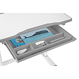 Дитяча парта зі стільчиком FunDesk Cantare Grey, фото 10