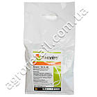 Інсектицид Ампліго 150 ZC ФК 4 мл Syngenta, фото 4