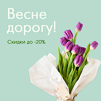 Весні дорогу!