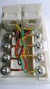 КОРОБКА телефонна 6p4c 2 гнізда RJ11 4pin, фото 4