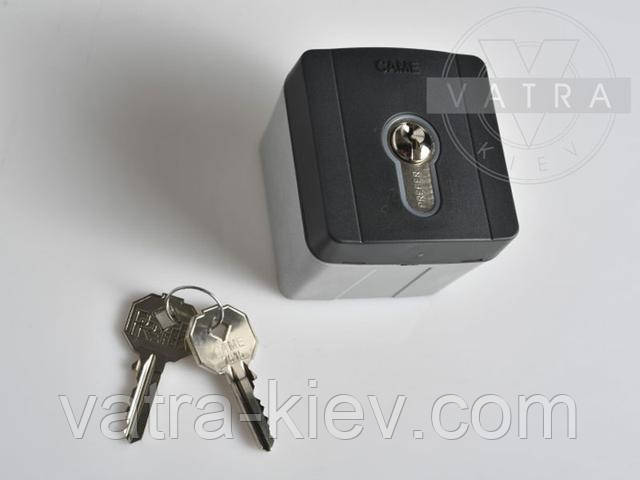 CAME SELD1FAG 806SL-0090 Ключ вимикач накладної 220 - 230В