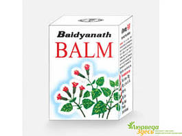 Бальзам Байдьянатх сила природи, Baidyanath Balm Nature Power, один бальзам - потрійна дія!, Аюрведа Здесь