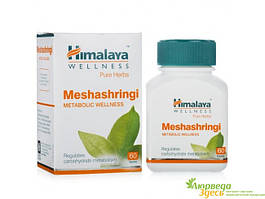 Мешашринги Хималая 60таб, Himalaya Meshashringi, Gymnema sylvestre, Джимнема сильвестра, регуляция уровня сахара, Аюрведа Здесь