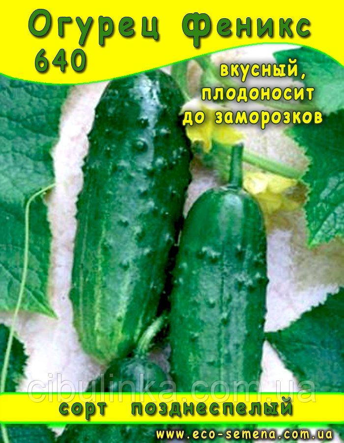Семена Огурец Феникс, 500 г, фото 1
