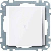 Накладка розетки TV-FM/TV-FM-SAT активно-білий Shneider Merten (MTN296825)