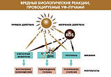 Academie Сонячний Коктейль SUN TO DRINK для рівної засмаги (10 ампул х 10 мл), фото 3