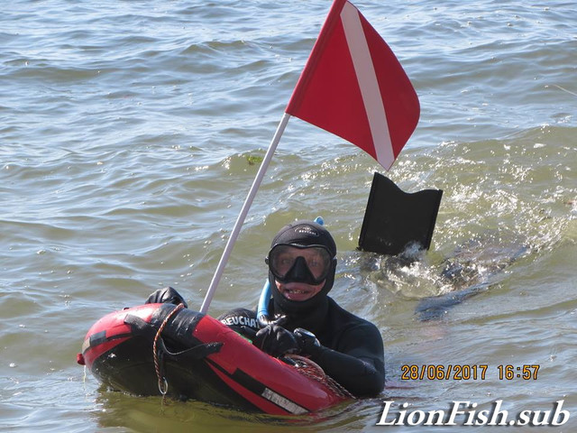 Флаг LionFish.sub для Буя или Плотика из ПВХ длина 72см