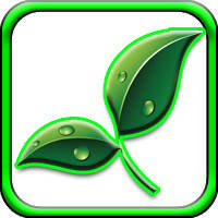 Озеленення приміщень і літніх терас