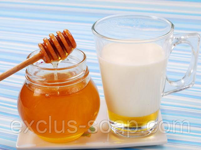 Мёд с молоком отдушка-10 мл - фото 1 - id-p910517829