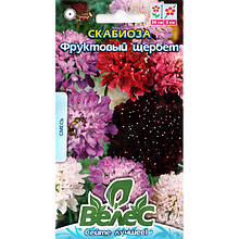 Насіння скабіози "Фруктовий щербет" (0,3 г) від ТМ "Велес"