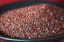 Кіноа червоне (Chenopodium quinoa)(насіння 50 шт)